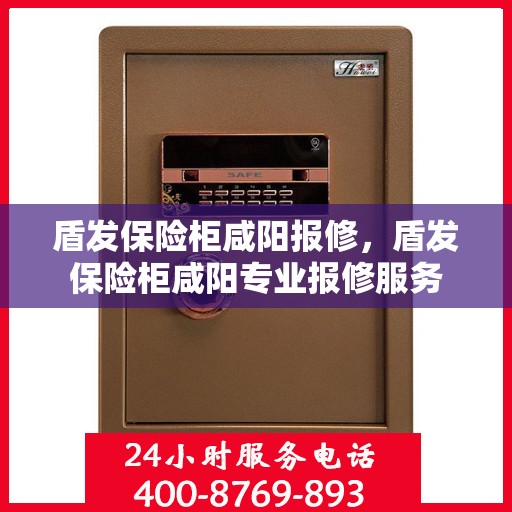 盾发保险柜咸阳报修，盾发保险柜咸阳专业报修服务