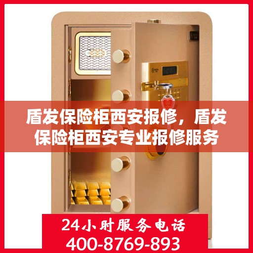 盾发保险柜西安报修，盾发保险柜西安专业报修服务