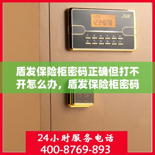 盾发保险柜密码正确但打不开怎么办，盾发保险柜密码正确却打不开的解决方法