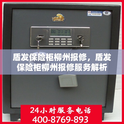 盾发保险柜柳州报修，盾发保险柜柳州报修服务解析