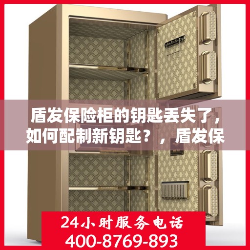 盾发保险柜的钥匙丢失了，如何配制新钥匙？，盾发保险柜钥匙丢失，如何配制新钥匙的解决方法？