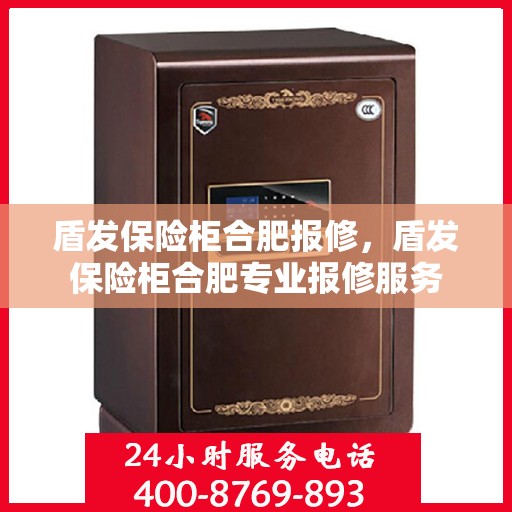 盾发保险柜合肥报修，盾发保险柜合肥专业报修服务
